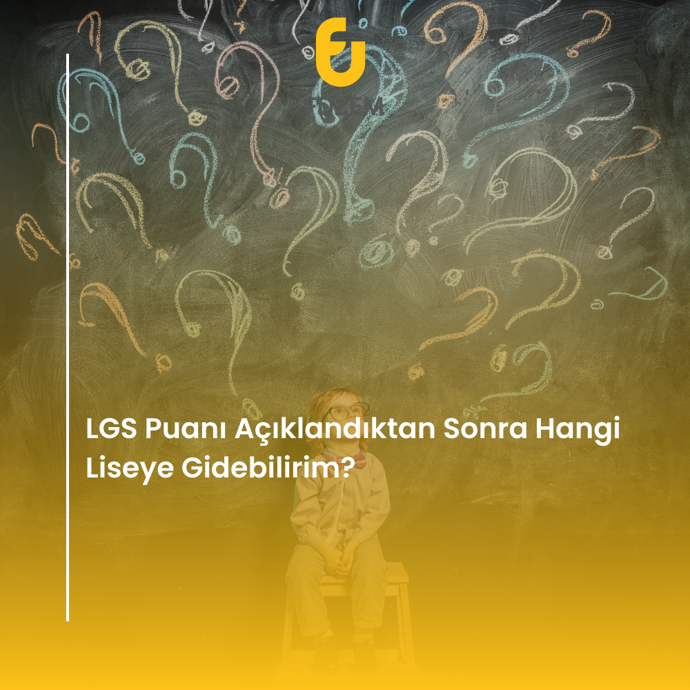 LGS Puanı Açıklandıktan Sonra Hangi Liseye Gidebilirim?