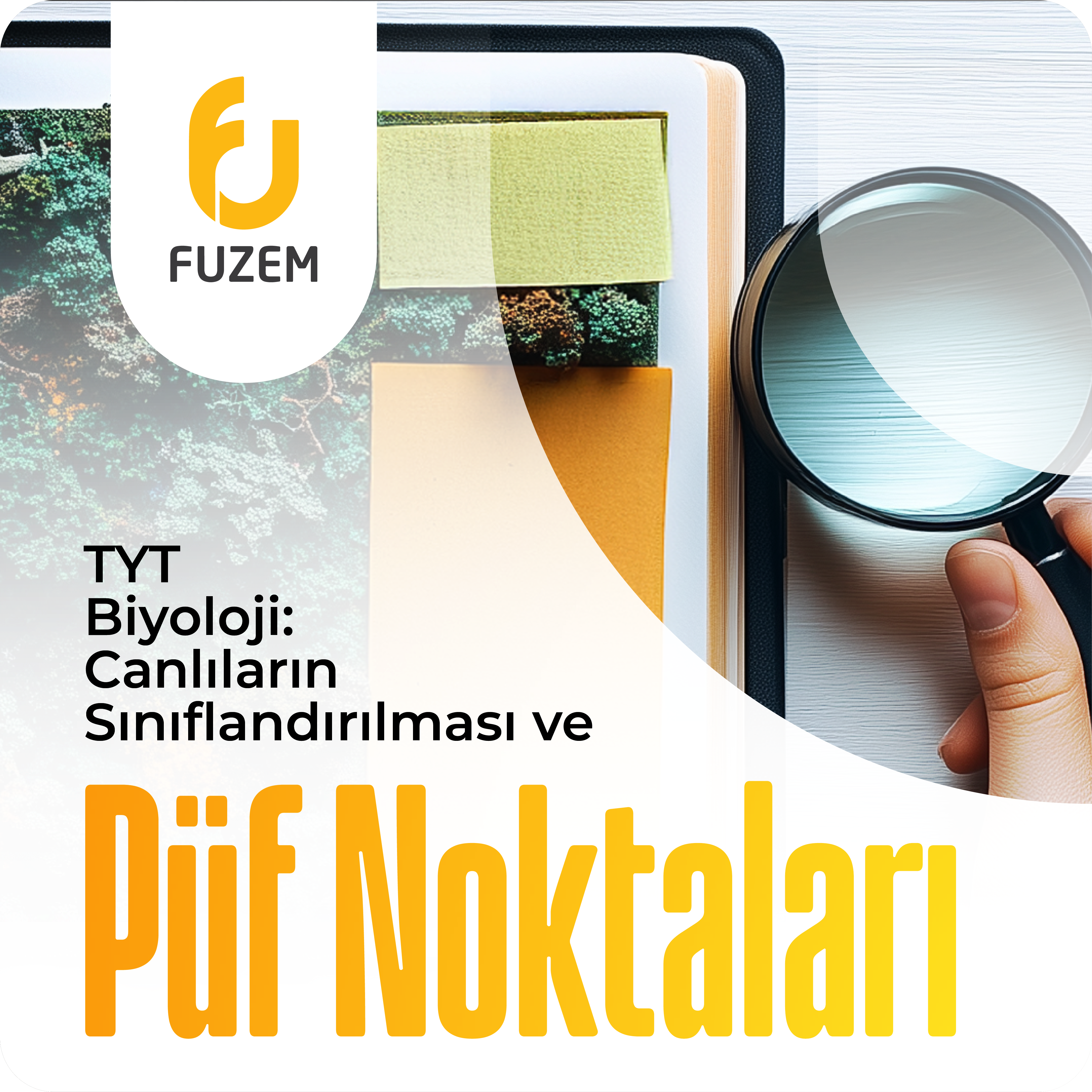 TYT Biyoloji: Canlıların Sınıflandırılması ve Püf Noktaları